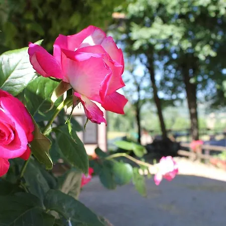 La Selva Farm stay