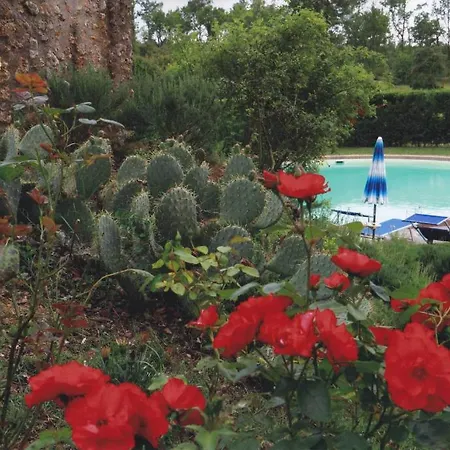 La Selva Σιένα