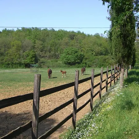 La Selva Feriegård *